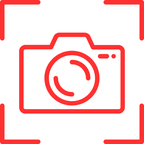 Sex Live Pornography